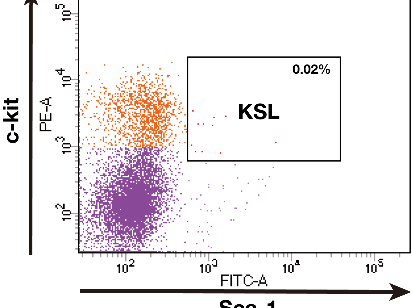 新潟大学大学院自然科学研究科 杉本研究室hp 2015