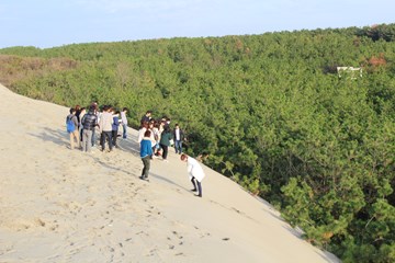 新潟砂丘の地形観察