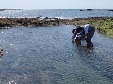 紀伊半島における潮間帯ベントス（底生生物）の採集調査