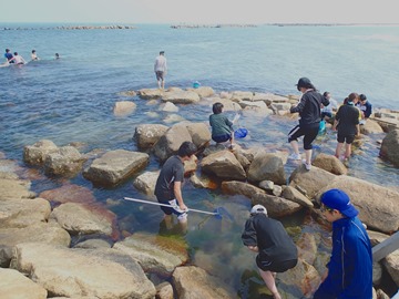 新川漁港での生物学実習