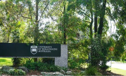 University of Wollongong