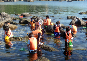 Animal collection using snorkeling equipment