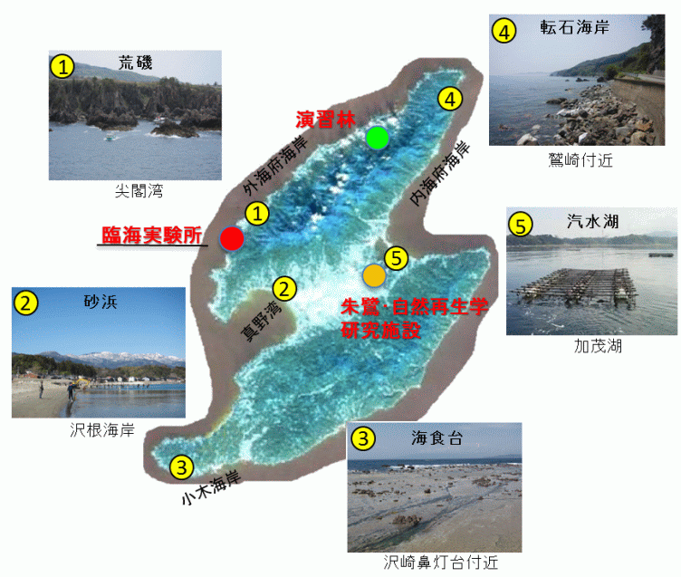 佐渡島の多様な海岸環境