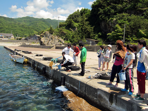 Toho20140623-5