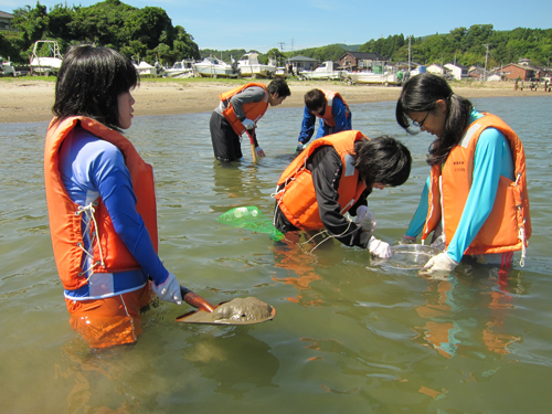 20140817seibutsukokai7