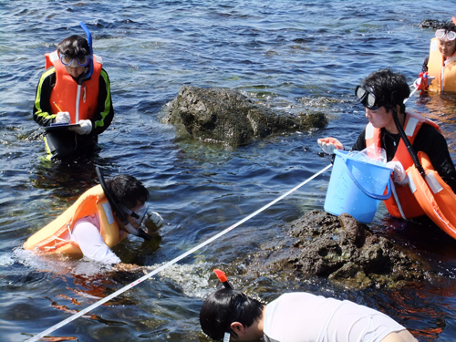 20150824seibutsukokai9