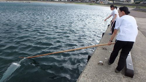 plankton sampling