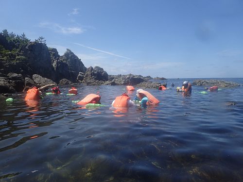 snorkeling