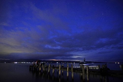 sea firefly sampling