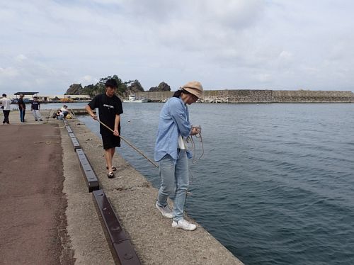 Plankton sampling