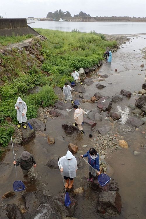 River sampling