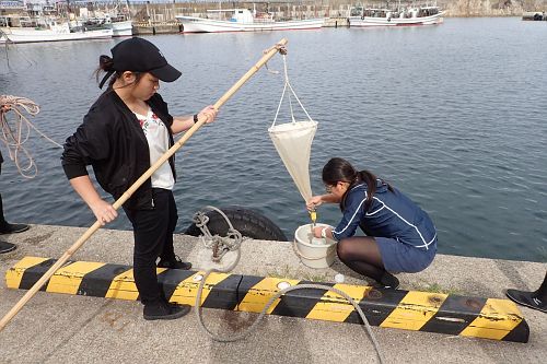 Plankton sampling