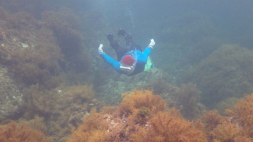 Snorkeling