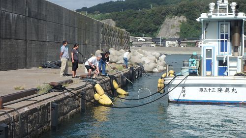 Fish sampling