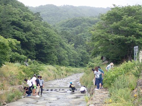 tassya river