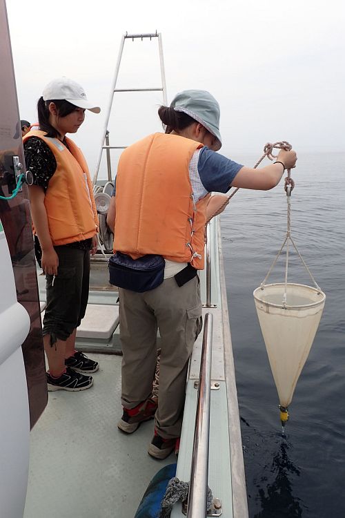 plankton sampling