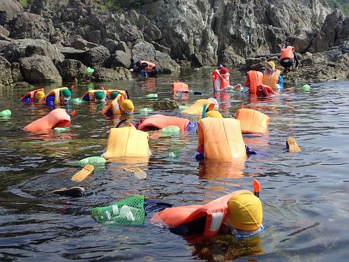 snorkeling sampling