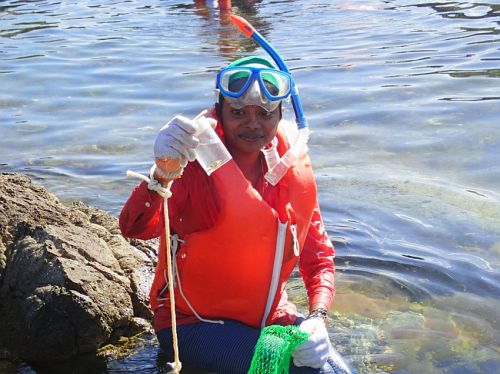 snorkeling sampling