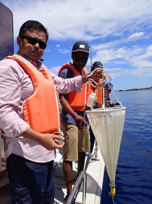 plankton sampling