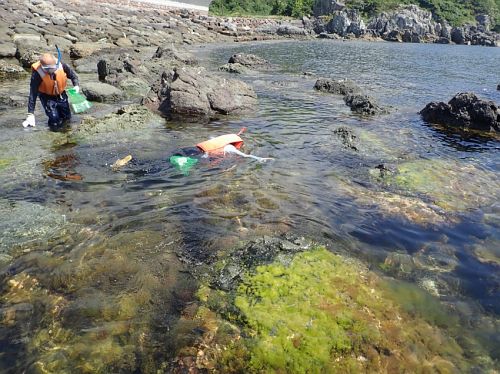 snorkeling sampling