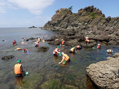 snorkeling sampling