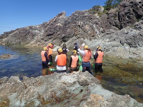 snorkeling