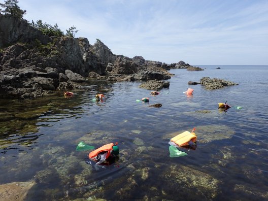 snorkeling sampling