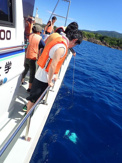 plankton sampling