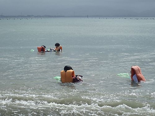 dredge sampling