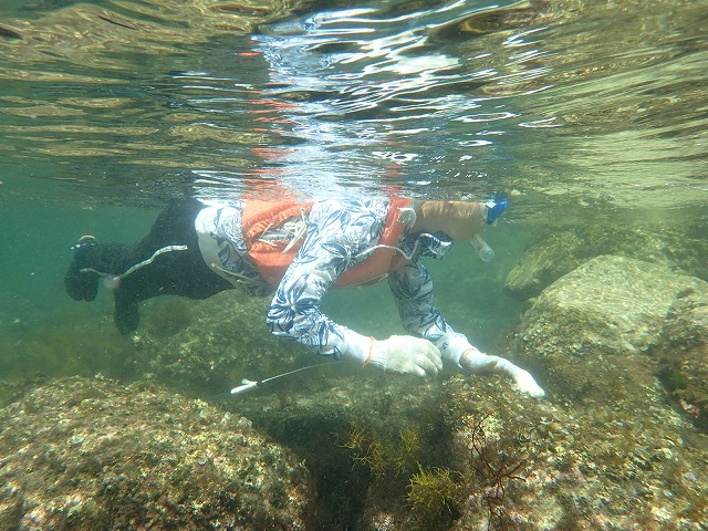 snorkeling