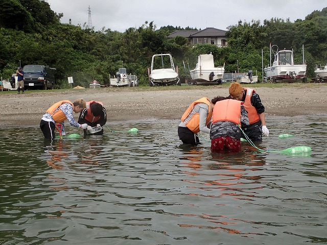 dredge sampling