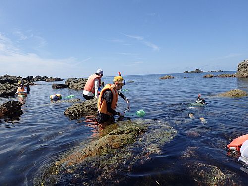 snorkeling