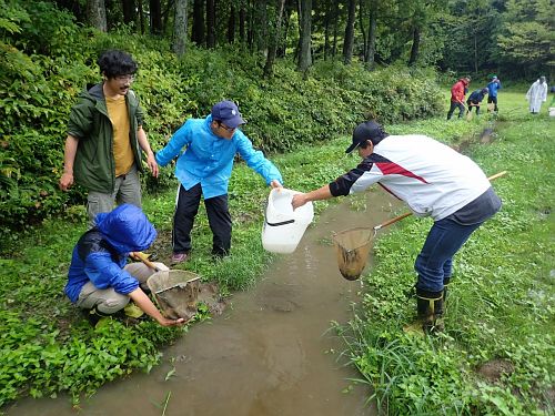 biotope sampling