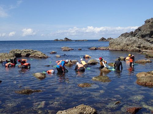 snorkeling