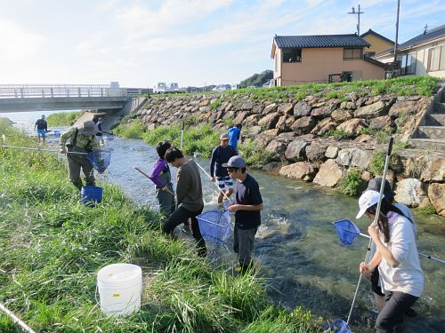 river sampling