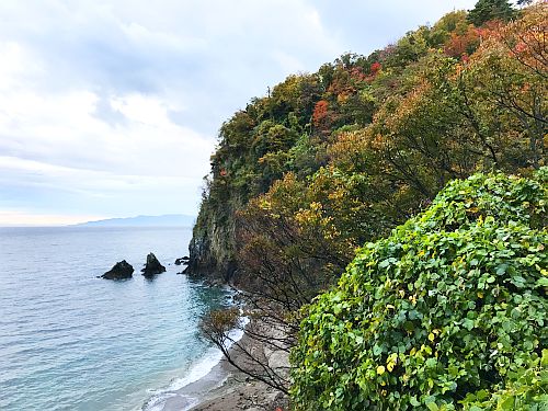 uchikaihu