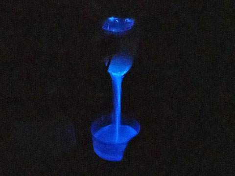 Bioluminescence