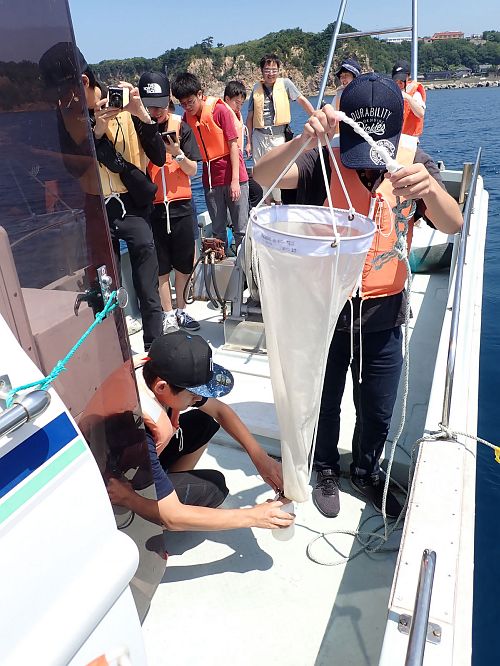 Plankton sampling