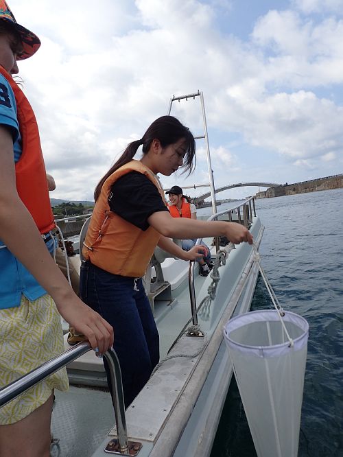 Plankton sampling