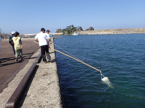 Plankton sampling