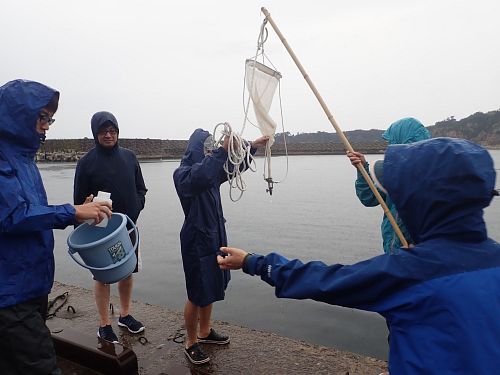 Plankton sampling