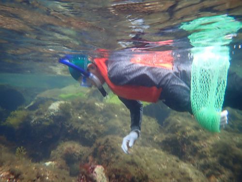 Snorkeling