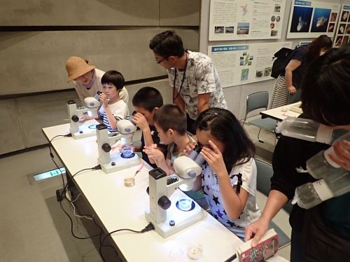 Observation using a microscope