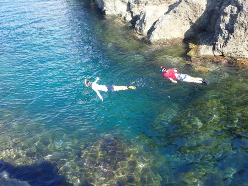 Snorkeling