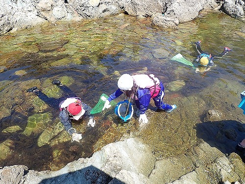 Snorkeling