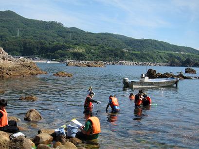 方形枠調査の風景