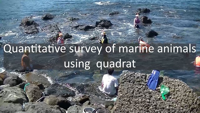 A-3E Quantitative Survey of Marine Organisms using Quadrats