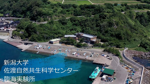 A-4 臨海実験所での実習内容紹介