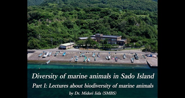 C-2 Lectures about biodiversity of marine animals