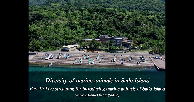 C-3 Live streaming for introducing marine animals of Sado Island
